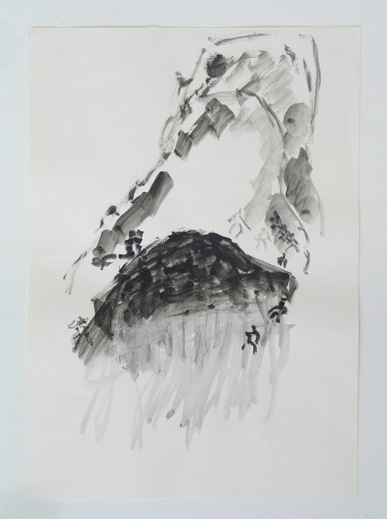 Untitled, from the series Mountains, ink on paper, 33x42cm, 2005 (4)