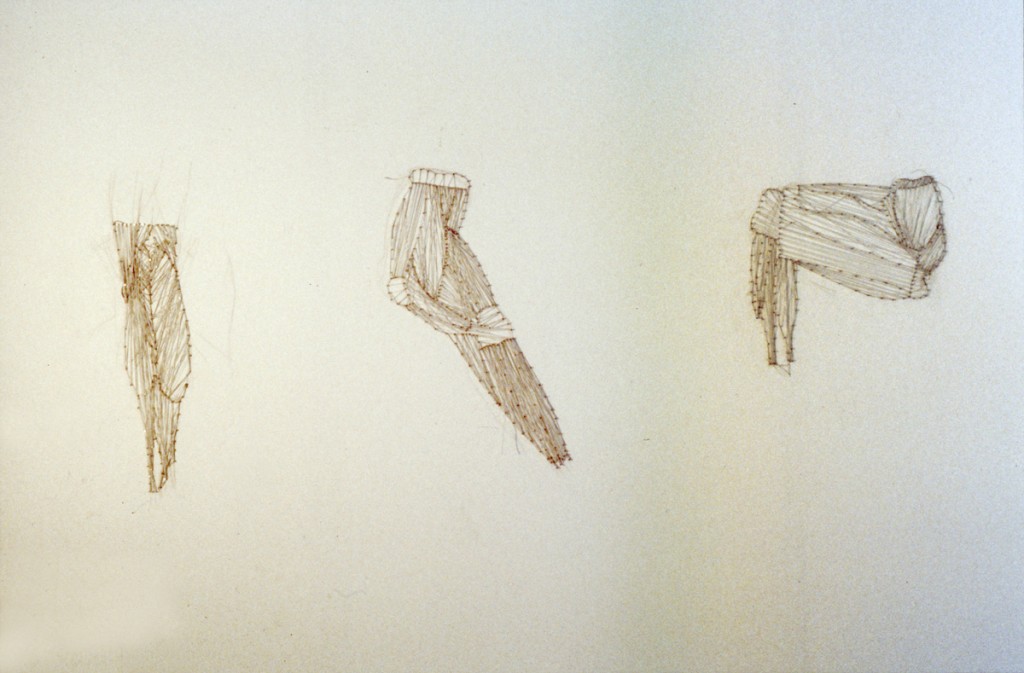 Cords, rubber thread and nails on a wall, 1997