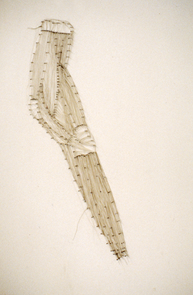 Cords, rubber thread and nails on a wall, 40x60cm,1997