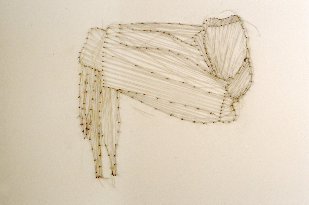 Cords, rubber thread and nails on a wall, 50x40cm,1997