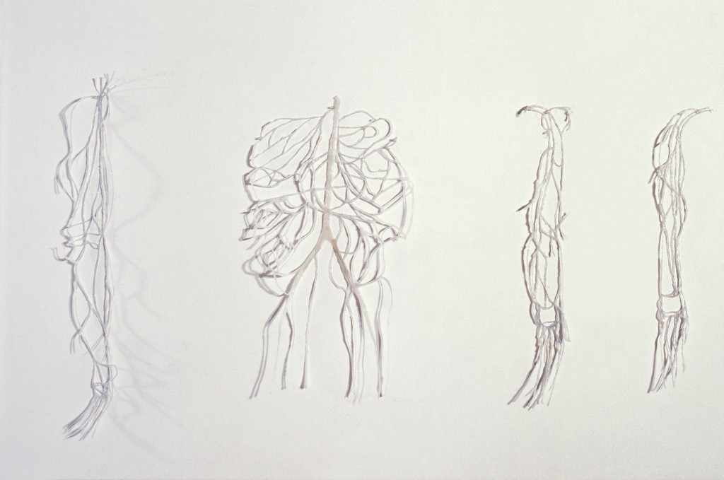 Anatomy Drawings, greaseproof paper, silicone and graphite,  450x320cm, 1998