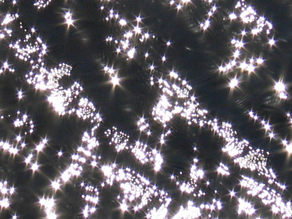 From the series Stars, c-print, 60x45cm, 2008