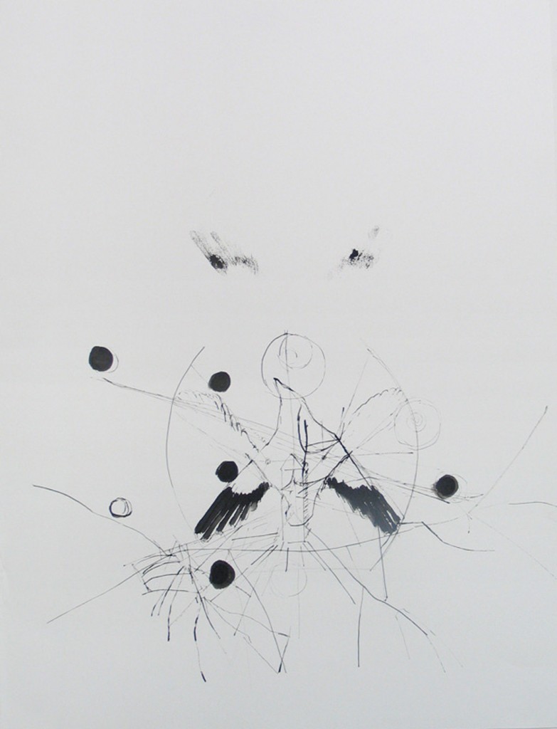 Untitled (Bird 2) from the series Fraction, ink on paper, 100x70cm, 2008