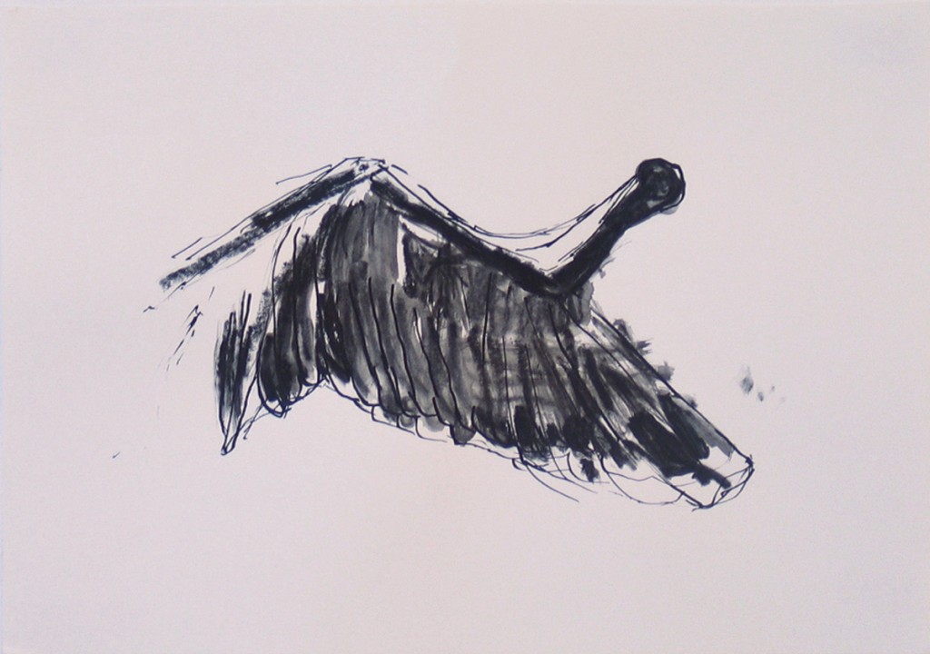 Untitled (Wing 1), charcoal and ink on paper, 33x25cm, 2005
