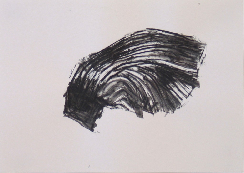 Untitled (Wing 2), charcoal and ink on paper, 33x25cm, 2005