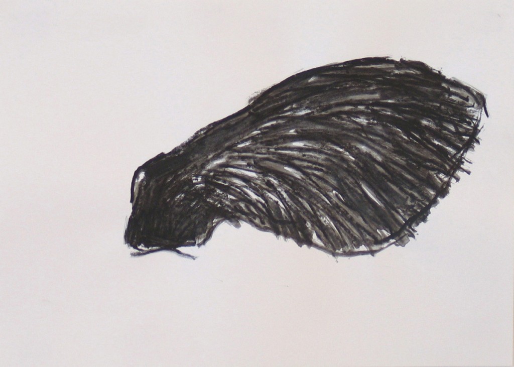Untitled (Wing 3), charcoal and ink on paper, 33x25cm, 2005