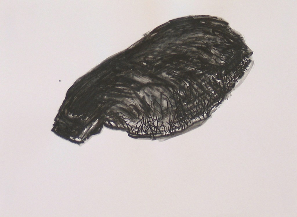 Untitled (Wing 4), charcoal and ink on paper, 33x25cm, 2005