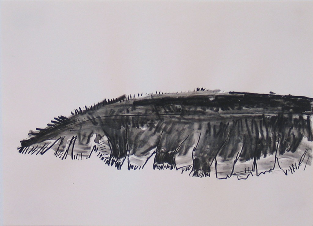 Untitled (Wing 5), charcoal and ink on paper, 33x25cm, 2005