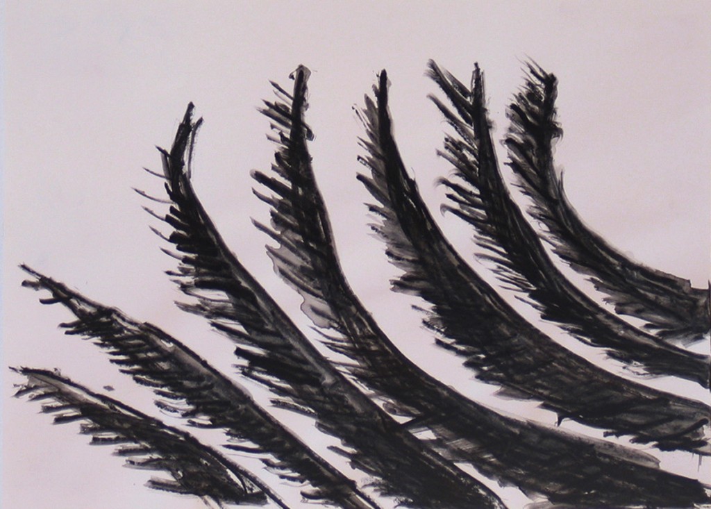 Untitled (Wing 6), charcoal and ink on paper, 33x25cm, 2005