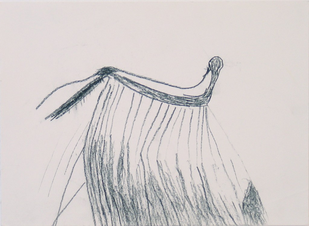 Untitled (Wing 7), charcoal and ink on paper, 33x25cm, 2005