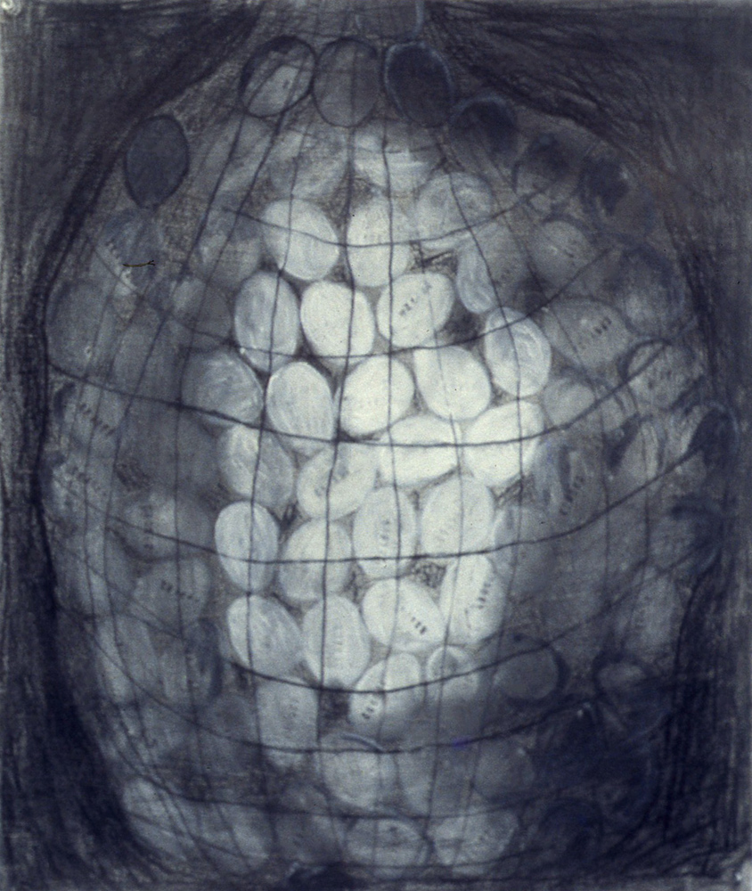 untitled-from-the-series-eggs-graphite-and-acrylic-on-paper-100x70cm-1997-low-quality
