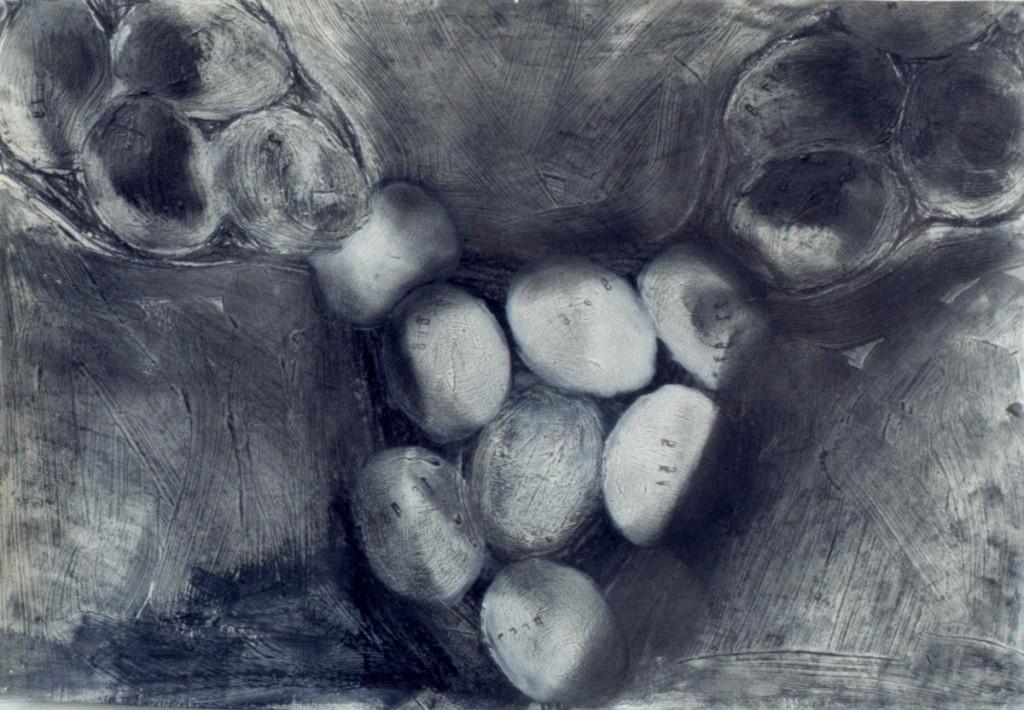 untitled-from-the-series-eggs-graphite-and-acrylic-on-paper-50x30cm-1997_1